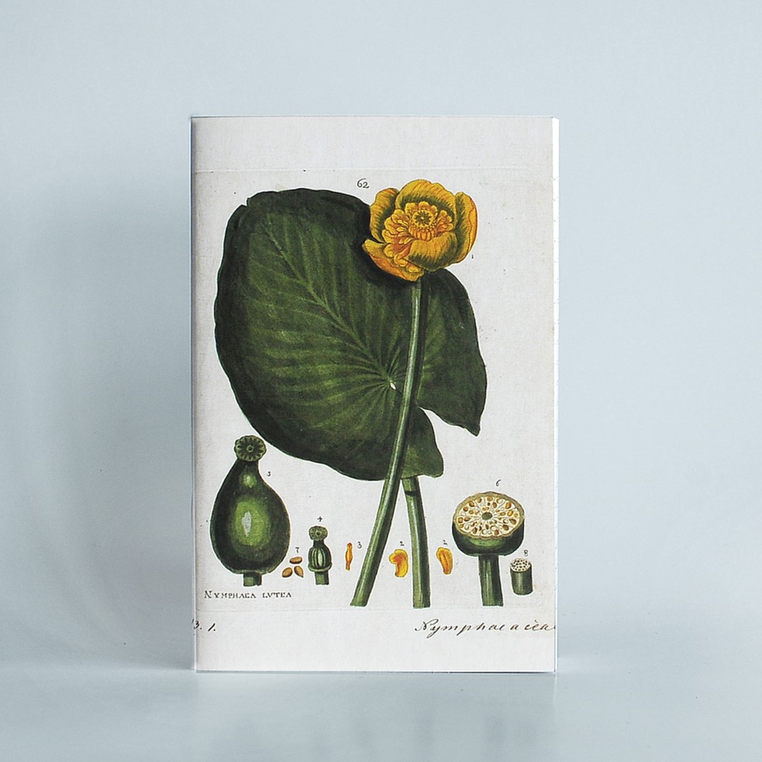 Изображение Блокноты Кувшинки (блокнот А5)