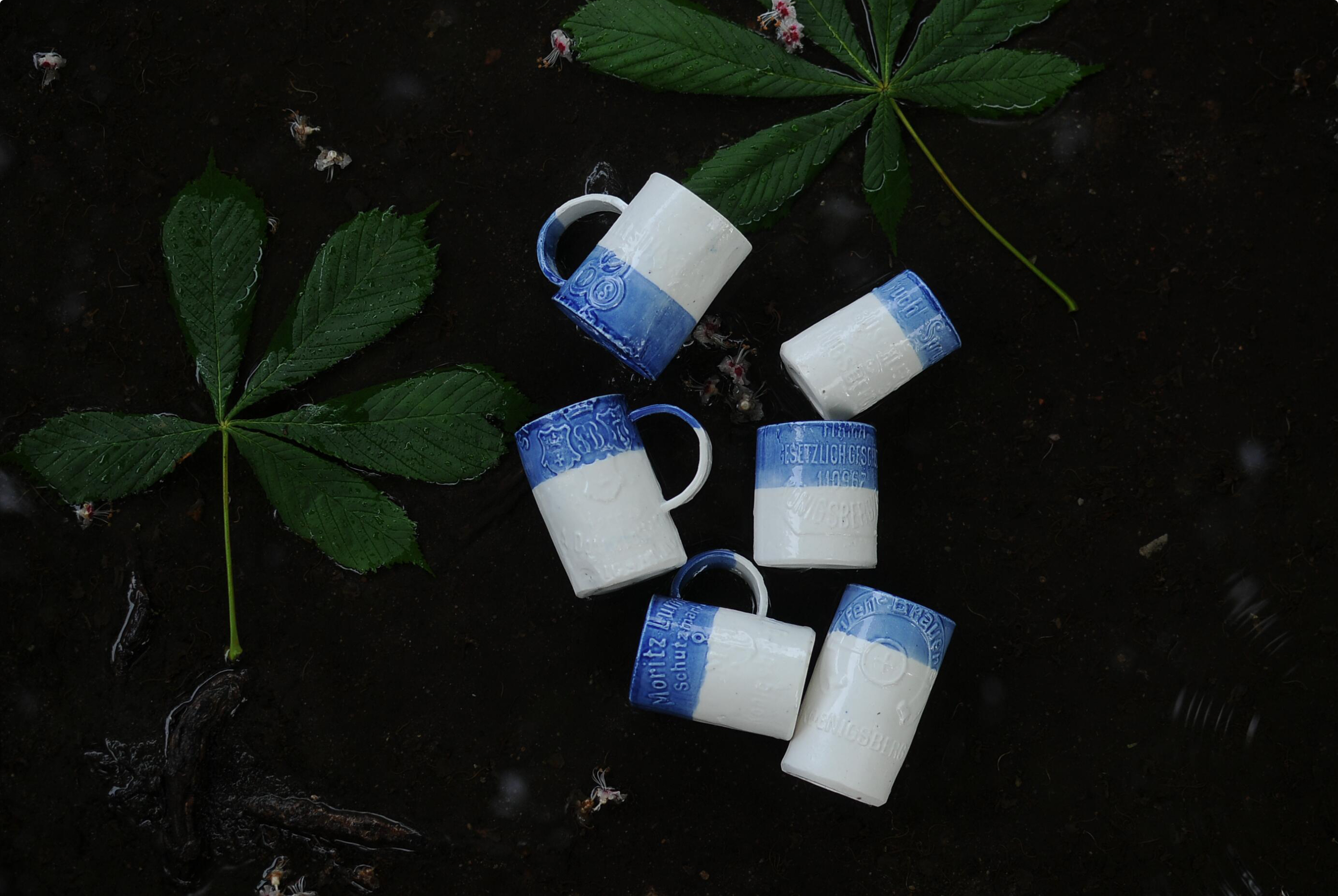 Кружки Кёнигфлаше